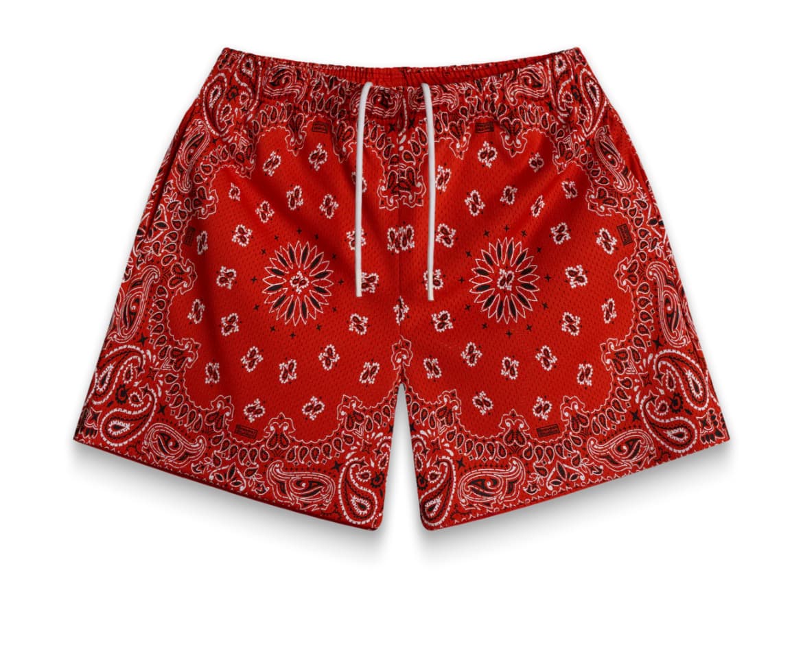 SCREENPRINTED PAISLEY TWO TONE SHORTS